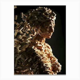 Sculpture Of A Woman Canvas Print