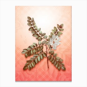 Clammy Locust Vintage Botanical in Peach Fuzz Tartan Plaid Pattern n.0024 Canvas Print