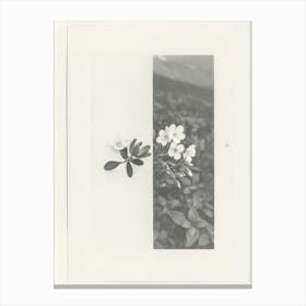 Forget Me Not Flower Photo Collage 2 Canvas Print