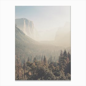 Foggy Yosemite Forest Canvas Print