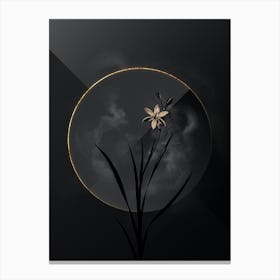 Shadowy Vintage Ixia Anemonae Flora Botanical in Black and Gold n.0135 Canvas Print