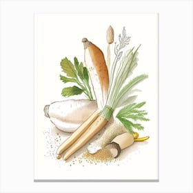 Horseradish Spices And Herbs Pencil Illustration 1 Canvas Print