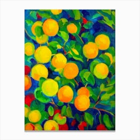 Starfruit Vibrant Matisse Inspired Painting Fruit Canvas Print