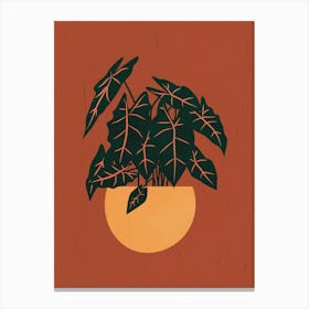 Potted Plant Canvas Print