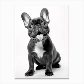 The Frenchie Canvas Print