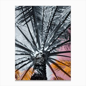 Palm Tree 8 Canvas Print