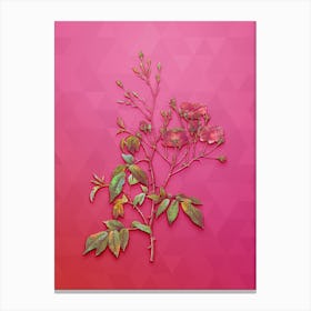 Vintage Pink Noisette Roses Botanical Art on Beetroot Purple Canvas Print