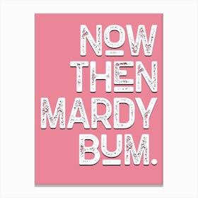 Mardy Bum Quote Lyrics Pink Canvas Print