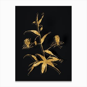 Vintage Flame Lily Botanical in Gold on Black Canvas Print