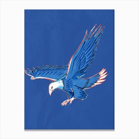 Eagle In Flight blue background Canvas Print
