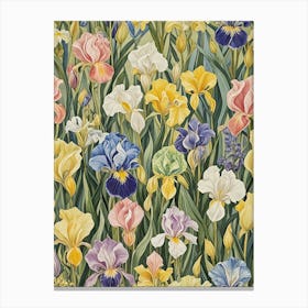 Iris Garden Canvas Print