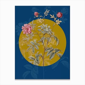 Vintage Botanical Vintage Cinnamon Rose on Circle Yellow on Blue Canvas Print
