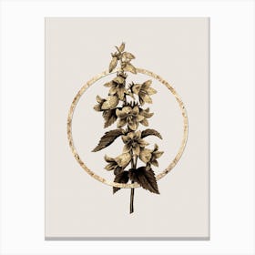 Gold Ring Bellflowers Glitter Botanical Illustration n.0220 Canvas Print