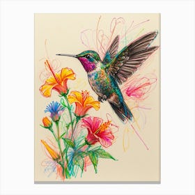 Hummingbird 24 Canvas Print