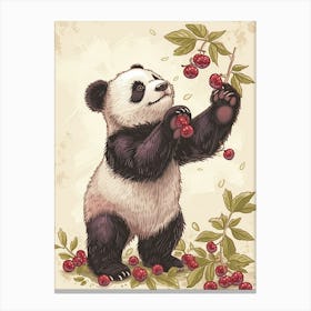 Giant Panda Standing And Reaching For Berries Storybook Illustration 5 Canvas Print
