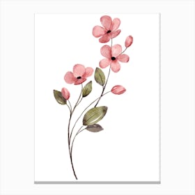 Pink Flowers On A White Background Canvas Print