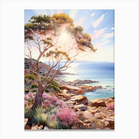 Watercolor Painting Of Cape Le Grand National Park, Australia 1 Canvas Print