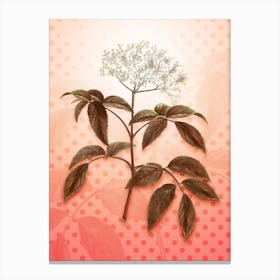 Elderberry Flowering Plant Vintage Botanical in Peach Fuzz Polka Dot Pattern n.0179 Canvas Print