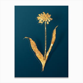 Vintage Golden Garlic Botanical in Gold on Teal Blue n.0228 Canvas Print