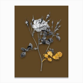Vintage Anemone Sweetbriar Rose Black and White Gold Leaf Floral Art on Coffee Brown n.0025 Canvas Print
