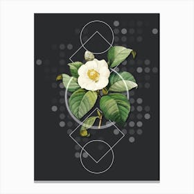 Vintage Japanese Camelia Botanical with Geometric Line Motif and Dot Pattern n.0171 Canvas Print