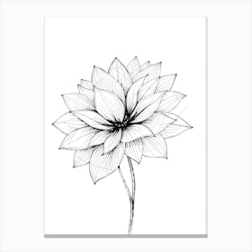 Lotus Flower 2 Canvas Print