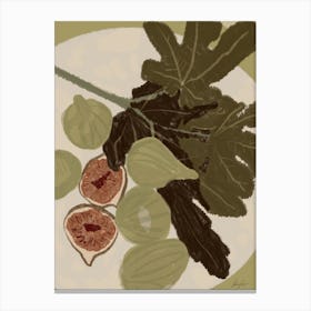 FIGS Canvas Print