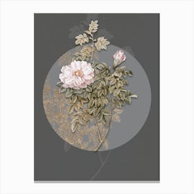 Vintage Botanical Ventenat's Rose on Circle Gray on Gray n.0111 Canvas Print