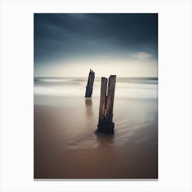 Old Posts On The Beach Canvas Print