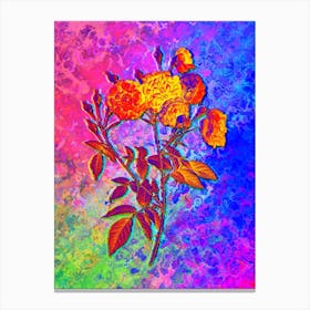 Ternaux Rose Bloom Botanical in Acid Neon Pink Green and Blue Canvas Print