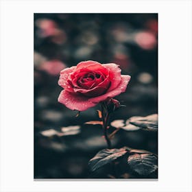 Rose Wallpaper 9 Canvas Print