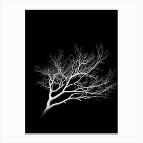 Bare Tree Canvas Print