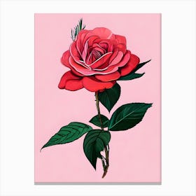 Rose On A Pink Background Canvas Print