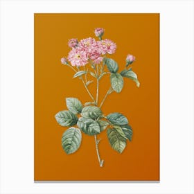Vintage Pink Rosebush Botanical on Sunset Orange n.0413 Canvas Print