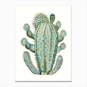 Turk S Head Cactus William Morris Inspired 2 Canvas Print