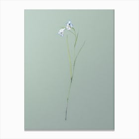 Vintage Blue Pipe Botanical Art on Mint Green n.0514 Canvas Print