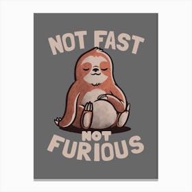 Not Fast Not Furious  Canvas Print