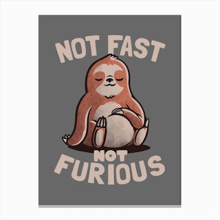 Not Fast Not Furious  Canvas Print
