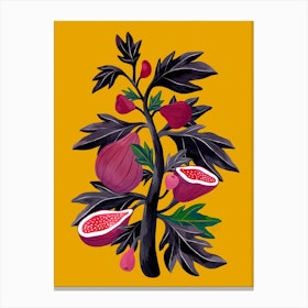 Fig Tree Canvas Print