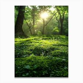 Mossy Forest 1 Canvas Print