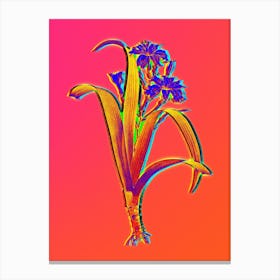 Neon Iris Fimbriata Botanical in Hot Pink and Electric Blue Canvas Print