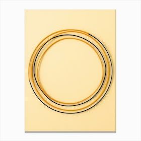 Circle Of Wires Canvas Print