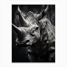 Black And White Photograph Of A Triceratops 1 Canvas Print