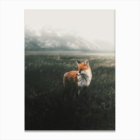 Moody Fox Scenery Canvas Print