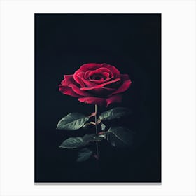 Rose On A Black Background 22 Canvas Print