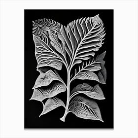 Caraway Leaf Linocut 1 Canvas Print