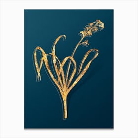 Vintage Dutch Hyacinth Botanical in Gold on Teal Blue Canvas Print