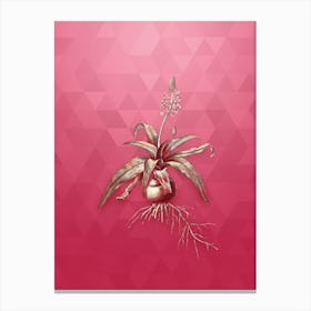 Vintage Lachenalia Lanceaefolia Botanical in Gold on Viva Magenta n.0816 Canvas Print