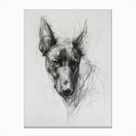 Belgian Malinois Dog Charcoal Line 3 Canvas Print