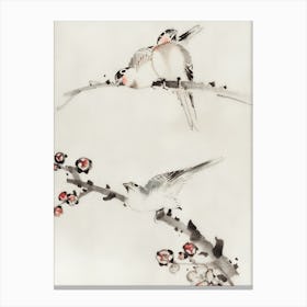 Birds On A Branch 5 Canvas Print
